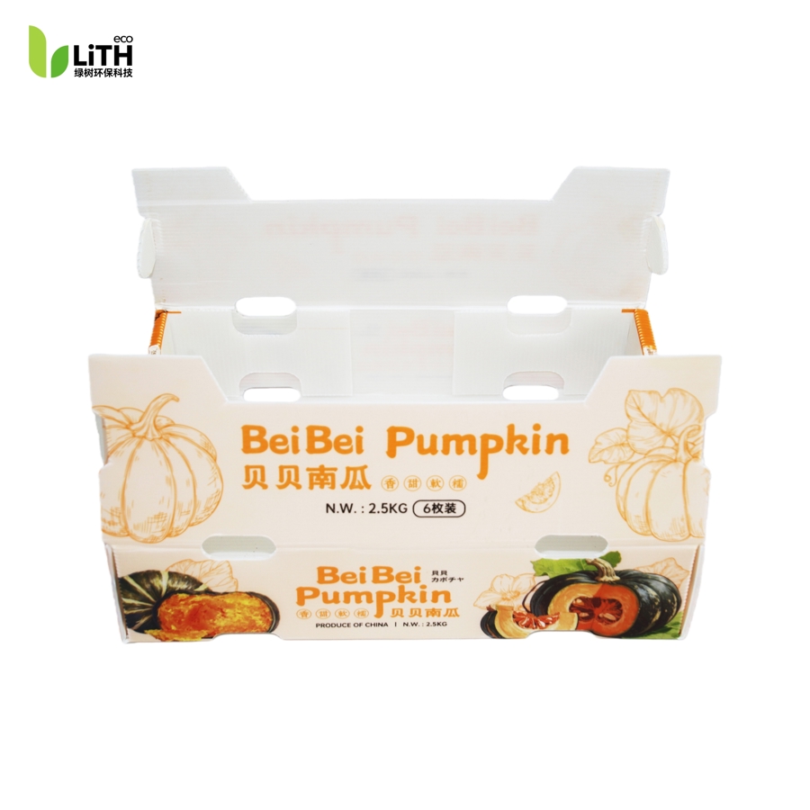 Pumpkin Corrugarted Box