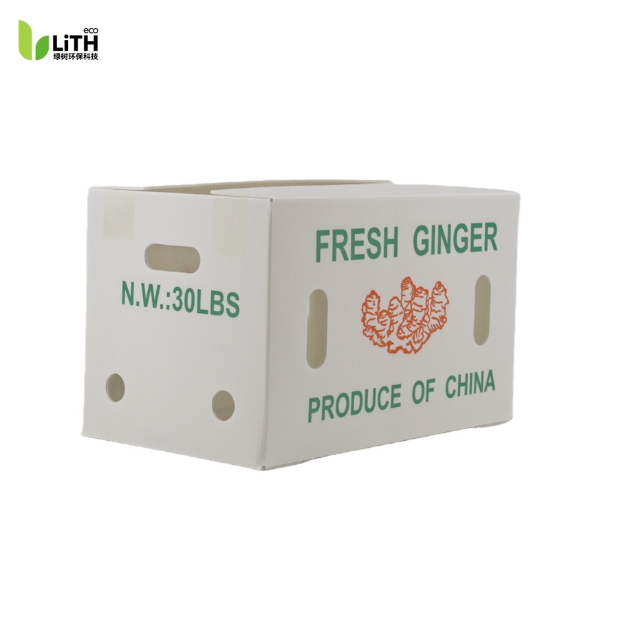 Ginger Shipping Box