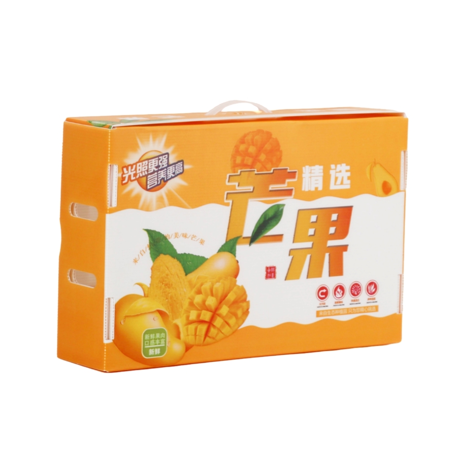 1 Piece Airplane Shape Mango Gift Box