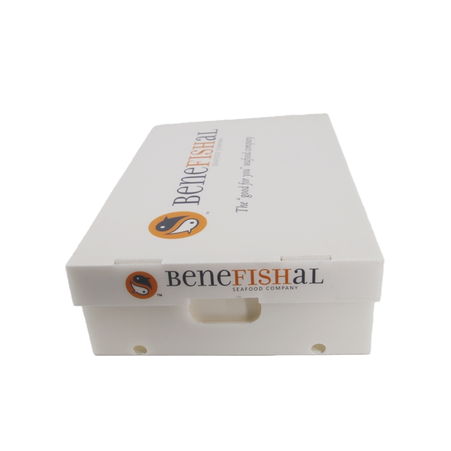 100Lbs Waterproof Hollow Sheet Seafood Packaging Box