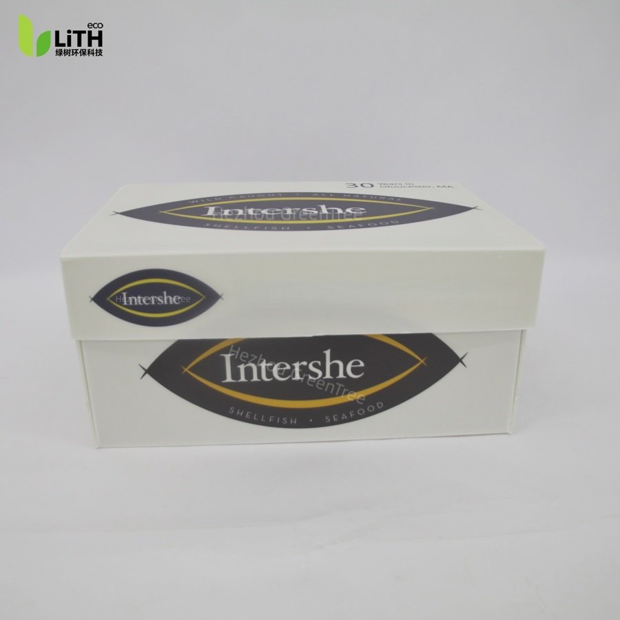 INTS Lid & Bottom Packaging Box