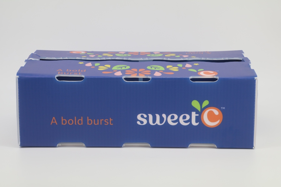 Orange Display Promotion Box