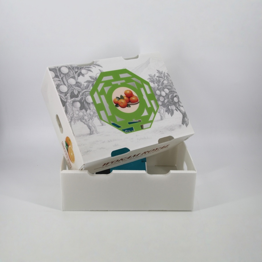 Calcium PP Wogan Orange Gift Box