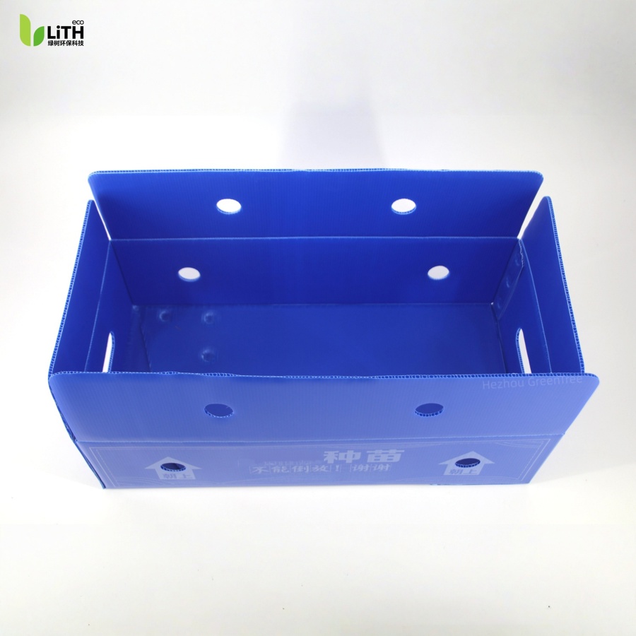 Seedling box - for tomatoes, peppers, and more