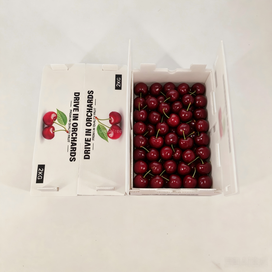 Ventilated Mineral Filled PP Cherry Box, Food Grade Corrugated Plastic Box