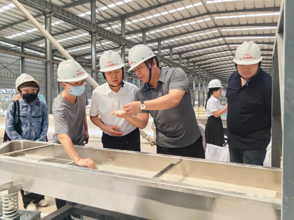 要闻｜贺州绿树四号母粒（LS-4）试机成功