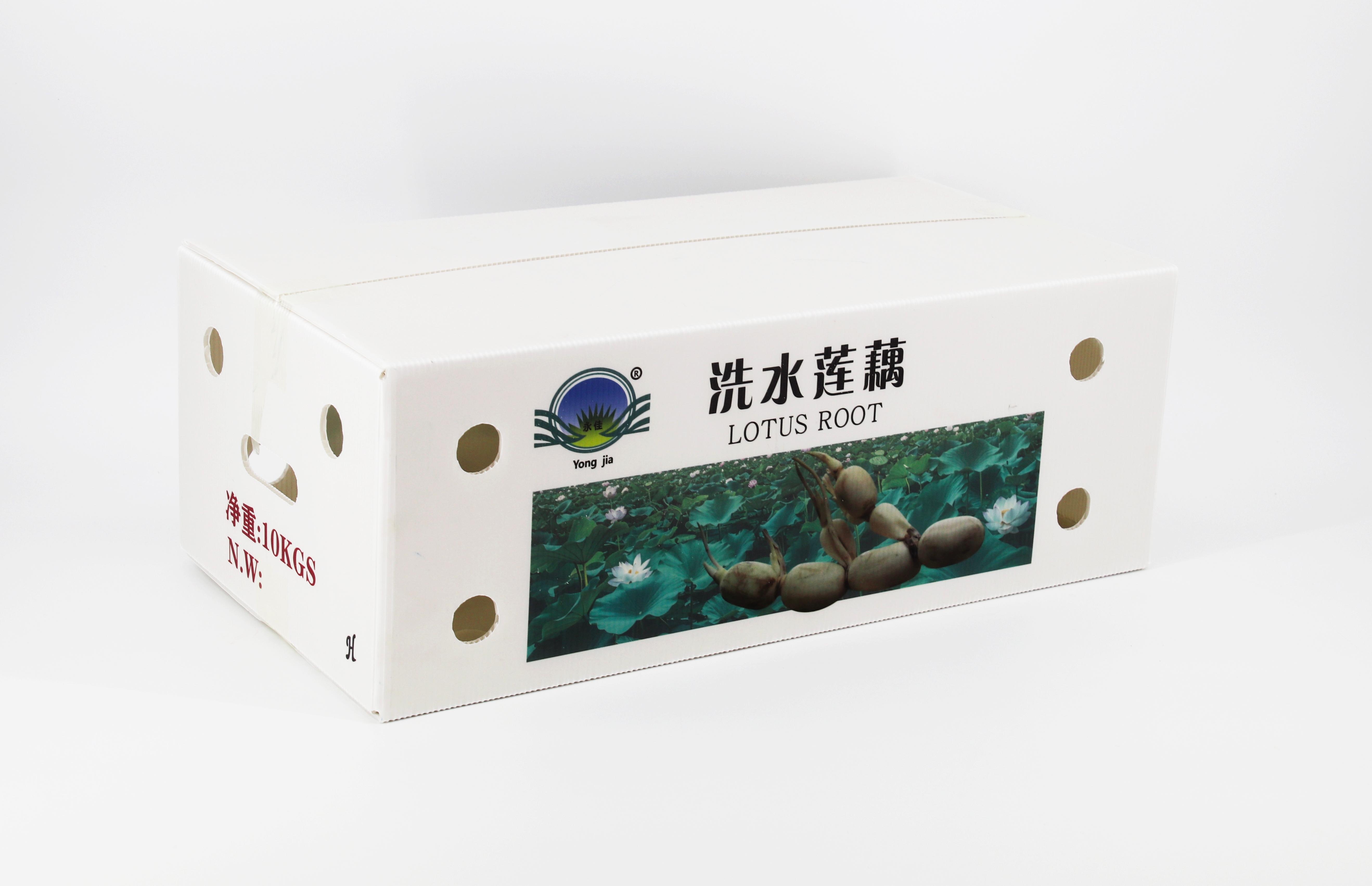 中空板箱